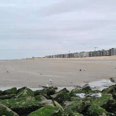 In De Panne Near The Apartment